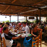 Paradise Cruise and Lunch