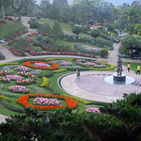 Full-Day Private Chiang Rai Tour