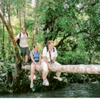 Full Day Private Northern Thailand in the Palm of Your Hand Tour