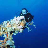 Two-Tank Reef Dive