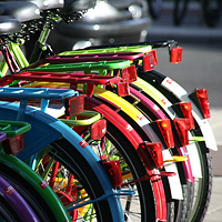 Small Group Half-Day Bike Tour: Cycle Amsterdam