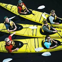 Small-Group Melbourne Moonlight Kayak Tour with Dinner