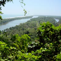 Full-Day Tortuguero Excursion