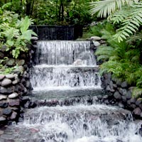 Arenal Volcano and Hot Springs Excursion
