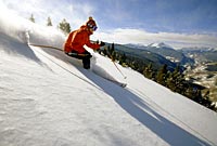 Vail and Beaver Creek Lift Ticket