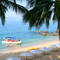 Sea Safari