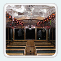 Karaoke and Christmas Lights Trolley Tour