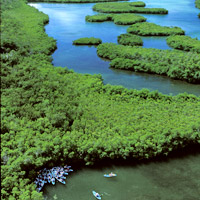 Kayak, Hike and Snorkel the Mangrove Lagoon & Cas Cay, St. Thomas