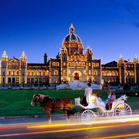 Horse-Drawn Carriage Tour