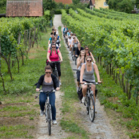 Wachau Valley Bike Tour & Wine Tasting
