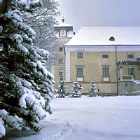 Christmas Eve Gala Dinner & Drinks at Weikersdorf Castle