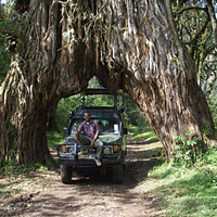 Half-Day Arusha National Park Tour