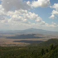 Full-Day Visit to Lake Naivasha