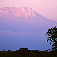 Full-Day Mount Kilimanjaro Hike