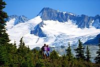 Whistler and Shannon Falls Excursion