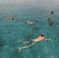 Snorkel and Beach Safari