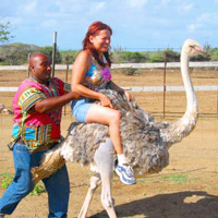 HATO Cave and Ostrich Farm