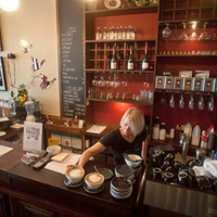Auckland City Tastes
