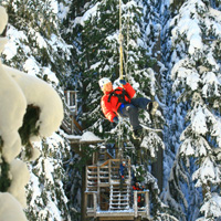 Ziptrek Mammoth Tour