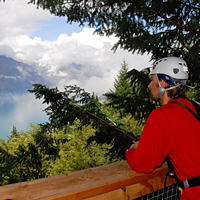 Ziptrek Eco Tour: 4-Line Moa Tour