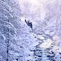 Ziptrek Bear Tour