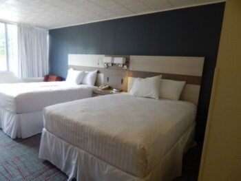 Room, 1 King Bed, Non Smoking (Guest)