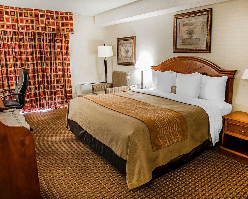 Comfort Inn Toronto Northeast York Hotel Price Address Reviews