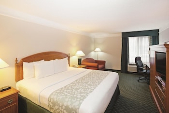Room, 1 King Bed with Sofa bed