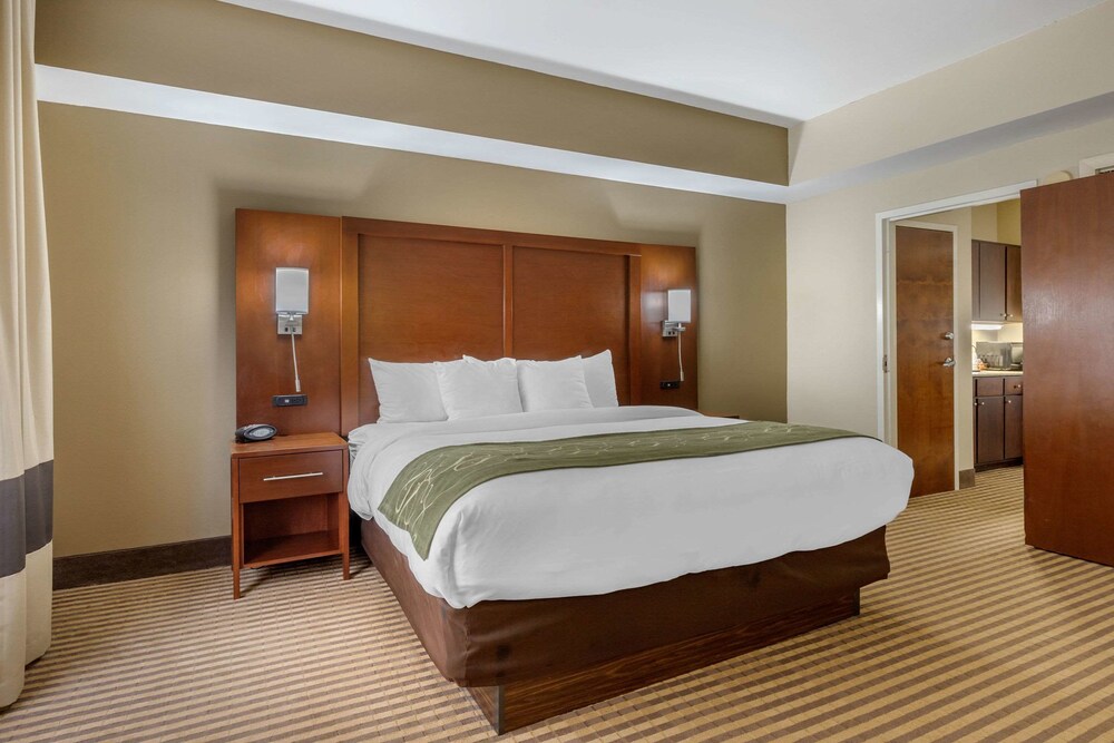 Comfort Suites Johnson City Washington Tennessee 1 1 7
