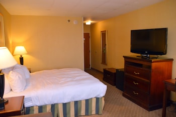 Business Room, 1 King Bed, Non Smoking