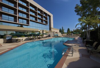 Suite, 1 Bedroom (Conference)