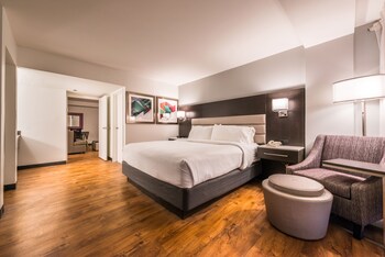 Standard Room, 1 King Bed with Sofa bed, Non Smoking