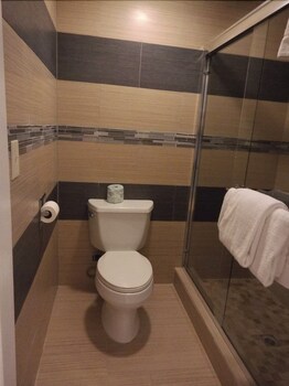 Pokój Deluxe, Łóżko king, dla niepalących