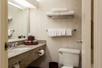Pokój standardowy, Łóżko queen, dla niepalących, bez widoku