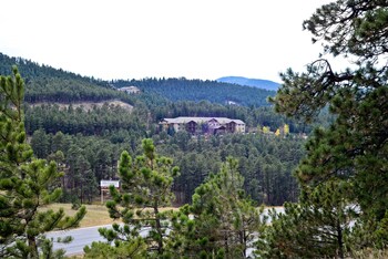 Pet Friendly Hotels Near Echo Mountain Park In Idaho Springs From Comfort Suites Golden West On Evergreen Parkway