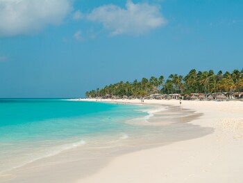 Divi Aruba All Inclusive Divi Aruba All Inclusive