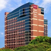 豪華美居樂斯飯店