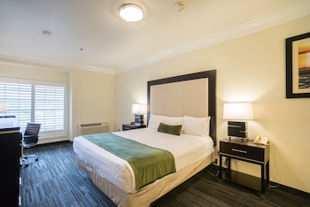 Arena Hotel Arena Hotel