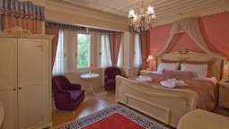 Alzer Hotel - Special Class