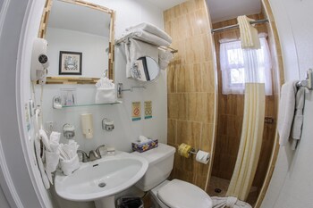 Apartament typu Deluxe Studio (2 Double Beds and Sleeper sofa)