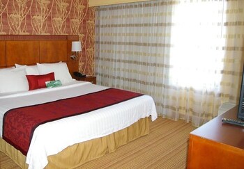 Room, 1 King Bed, Sofa, Non Smoking