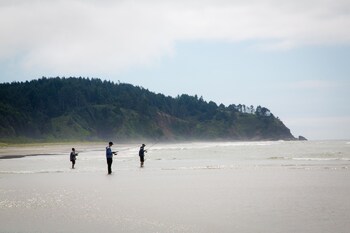 Long Beach RV & Camping Resort in Seaview, Washington