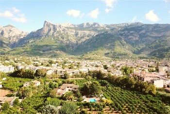 Finca Ca´s Curial Finca Ca´s Curial
