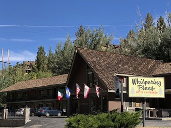 Whispering Pines Whispering Pines