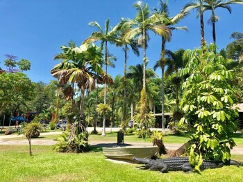 Lync Haven Rain Forest Retreat Lync Haven Rain Forest Retreat
