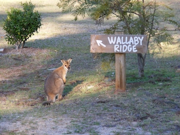 Wallaby Ridge Retreat Wallaby Ridge Retreat