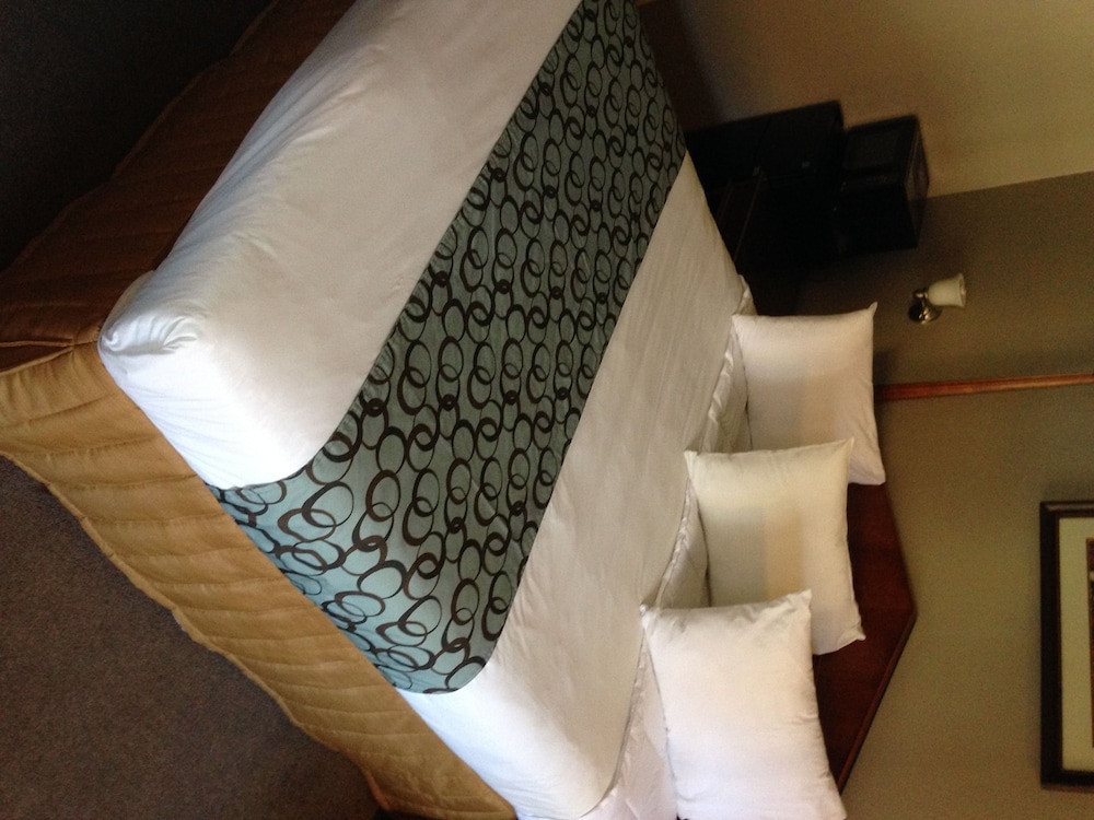 Five Star Inn Los Angeles 1 0 6 Price Address Reviews