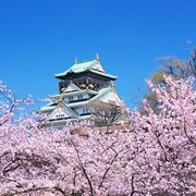 金剛賓館 - 青年旅舍
