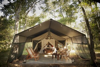Mara Bush Camp Mara Bush Camp