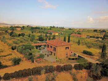 Il Ciliegio Errante Il Ciliegio Errante